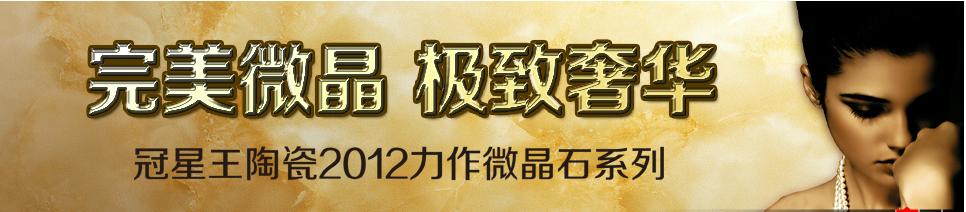 冠星王陶瓷 形象图