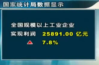 【視頻】統(tǒng)計(jì)局稱前11月工業(yè)企業(yè)利潤同比增7.8%