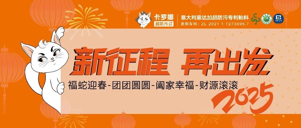 卡罗娜2024年度总结展望2025→「携手前行，共御共享」