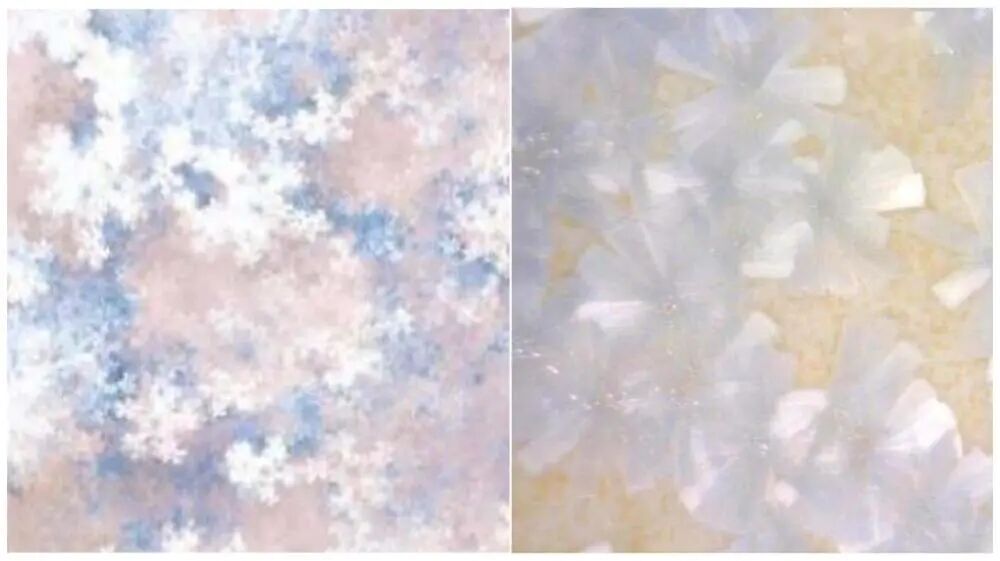 2025陶企专利榜揭晓！共511项专利，陶企研发方向聚焦在……