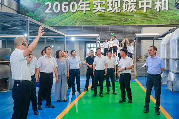 国际领先！蒙娜丽莎全球首条陶瓷工业氨氢零碳燃烧技术示范量产线项目成果通过鉴定