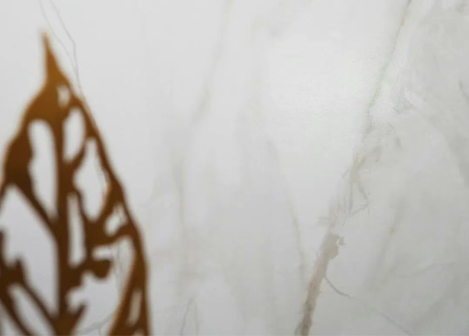 天纬大师陶瓷鲜系列新品-鎏金岁月丨 鎏光映韵，岁月质感
