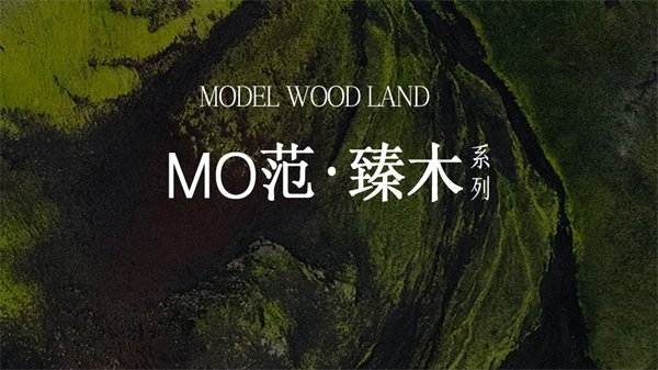QD瓷砖MO范·臻木，焕新高端木纹砖质感！