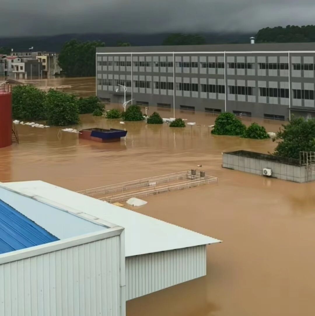 家居建材市场遭“水逆”！广西板材、陶瓷、卫浴企业受到冲击