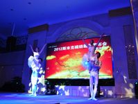 下一篇：优美高贵的芭蕾舞