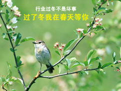 下一篇：行业“过冬”是好事 过了冬我在春天等你