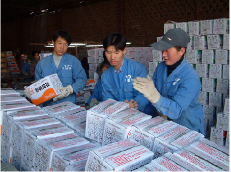 下一篇：建筑陶瓷出口风险加大 海外扩张战略受阻