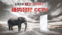 上一篇：头条——金牌亚洲广告于2月1日强势登陆CCTV