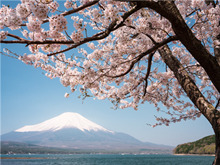 下一篇：卡萨罗纵横世界之旅——带你领略不一样的富士山